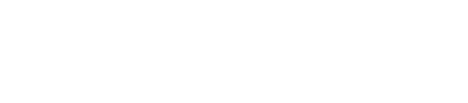 Novaresilient – Consulting en stratégie business